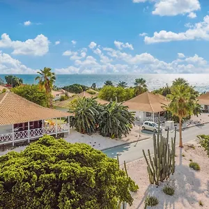 Ośrodek wypoczynkowy Papagayo (adults Only), Willemstad